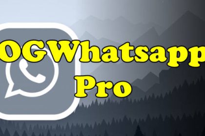 Review OG WhatsApp Pro