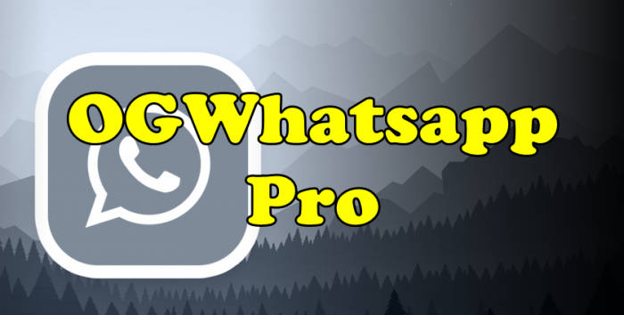 Review OG WhatsApp Pro